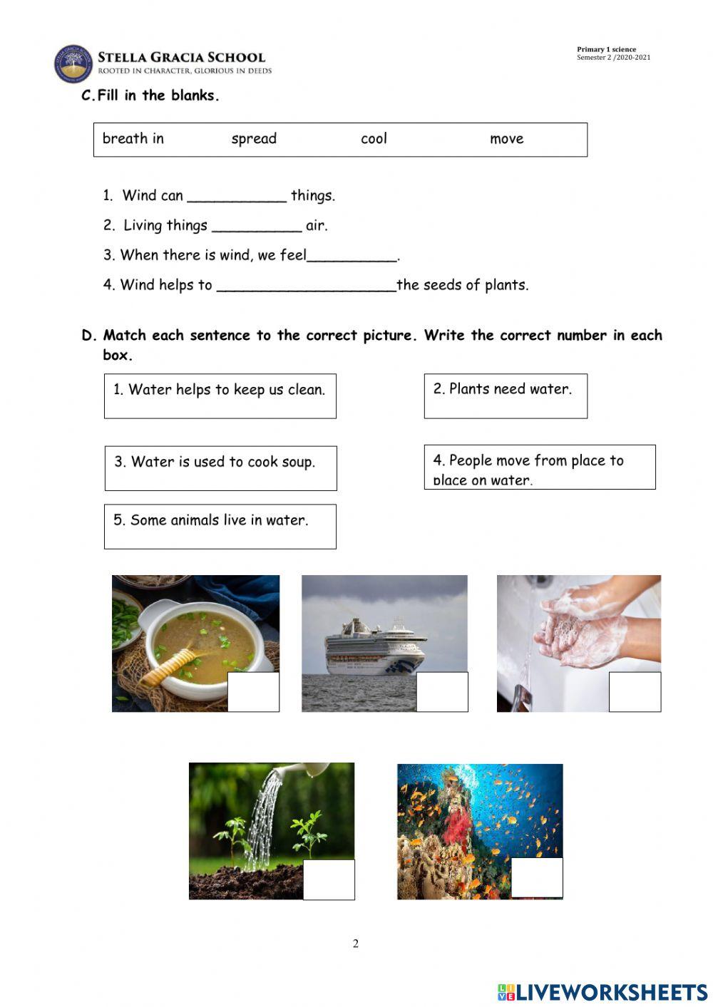 Primary 1 Science Primary 1 Science