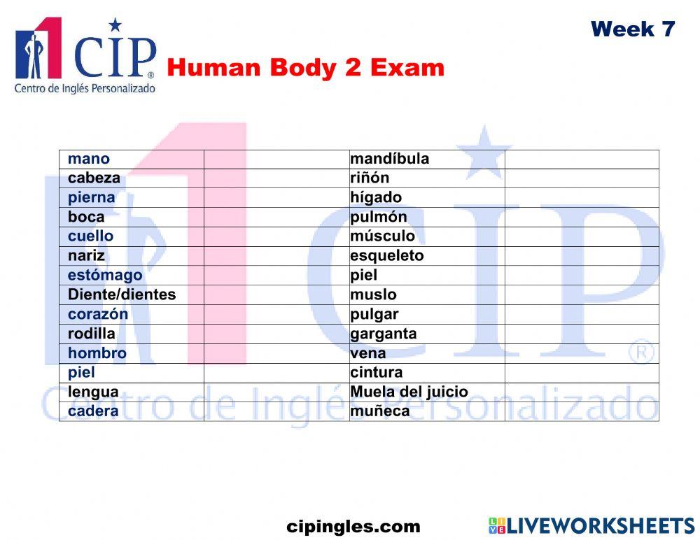 Human Body 2 Exam Week 7