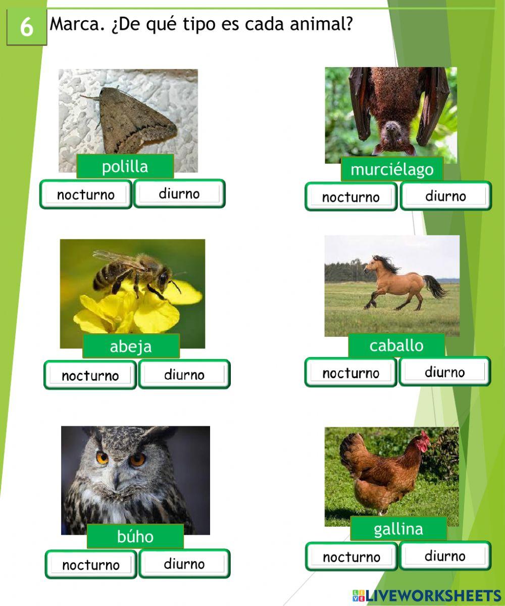 El sol y nuestro planeta