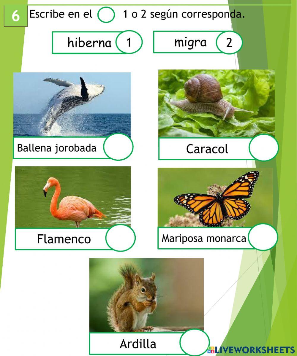 El sol y nuestro planeta