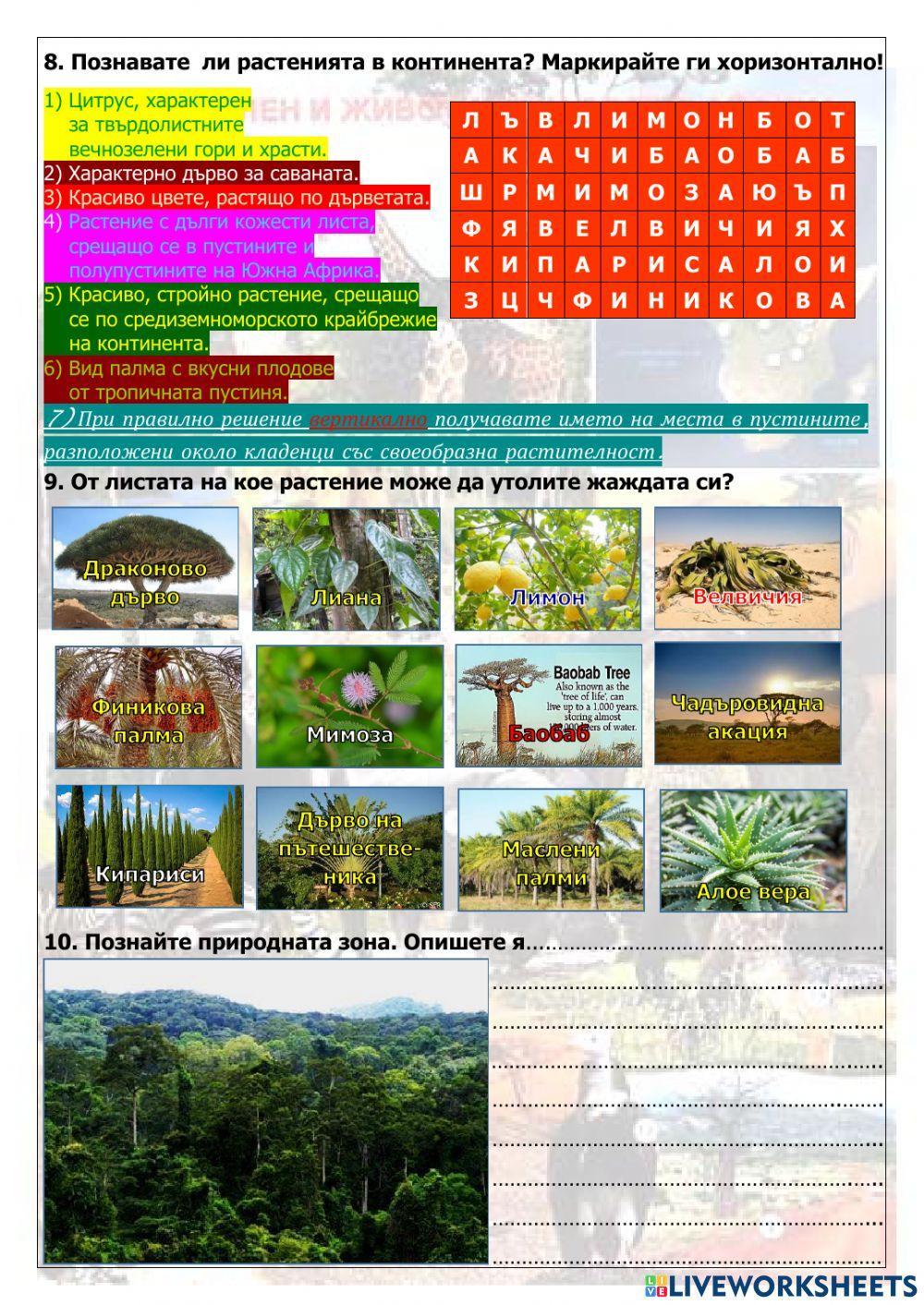 Природни зони на Африка