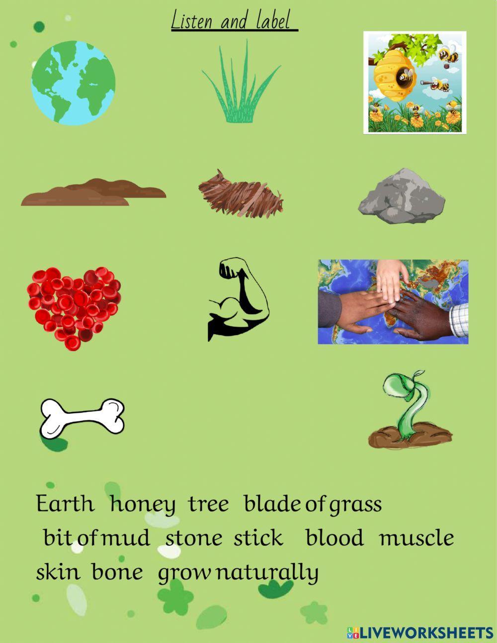 Earth Day 2021 Earth Day 2021
