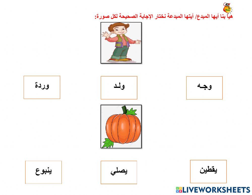 أوراق متنوعة هـ - و - ي