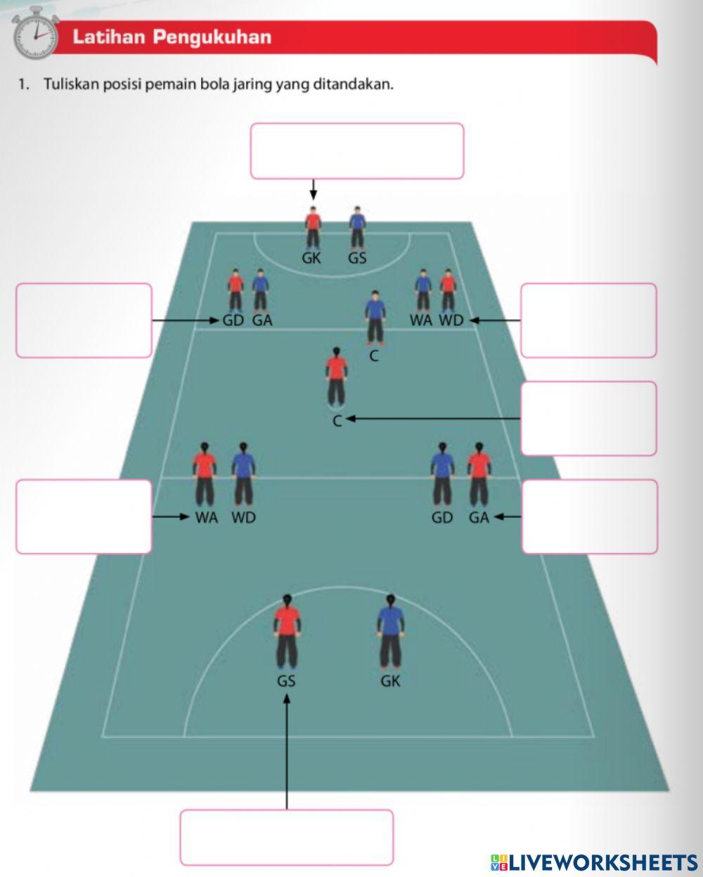 Bola Jaring Peralihan