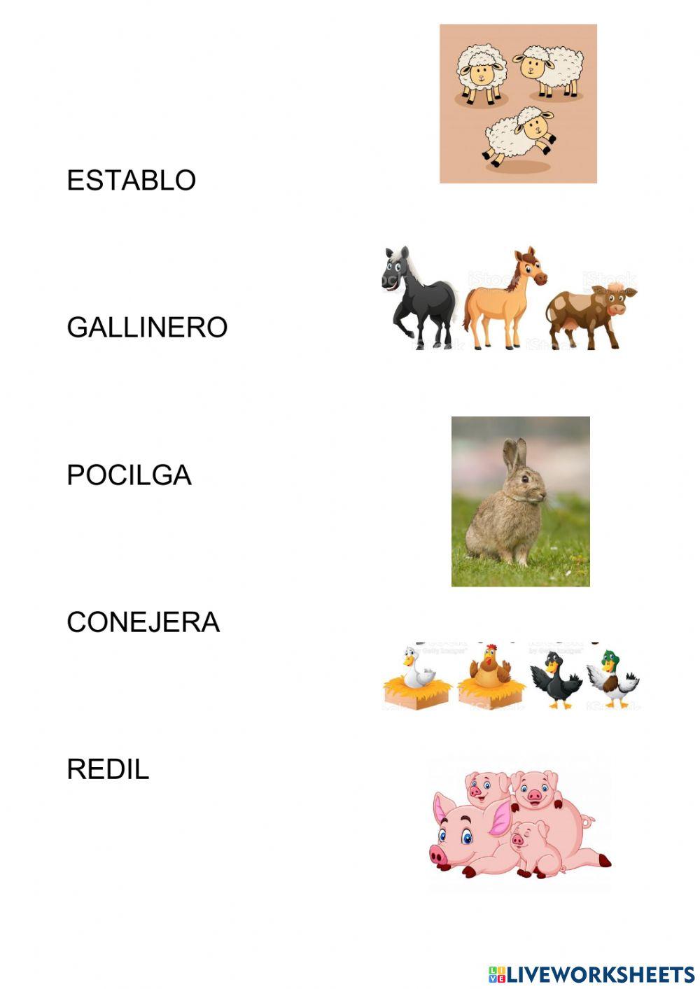 Vocabulario animales