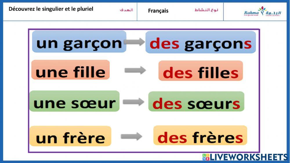 Singulier et pluriel