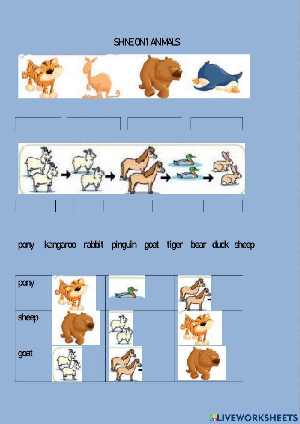 935240 shine on 1 katarzyna genert liveworksheets