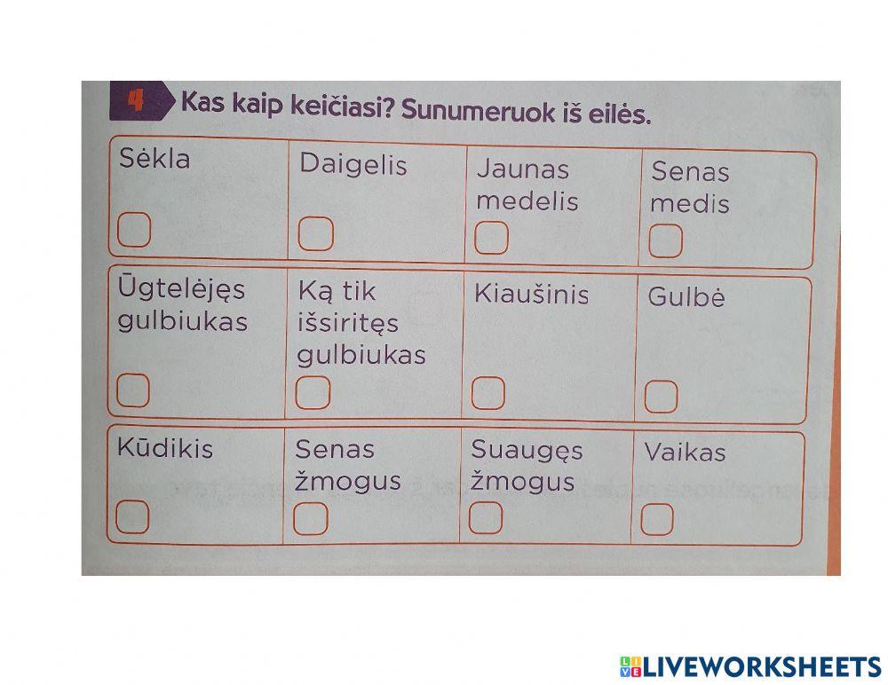 Sunumeruok iš eilės, kaip viskas vyksta