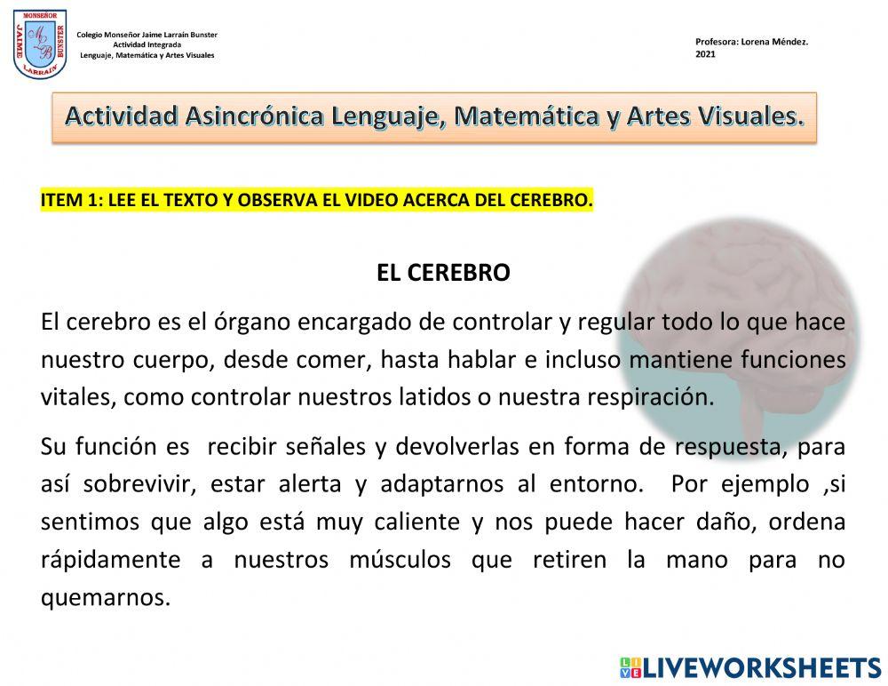 Lenguaje,  Matemática y Artes Visuales.