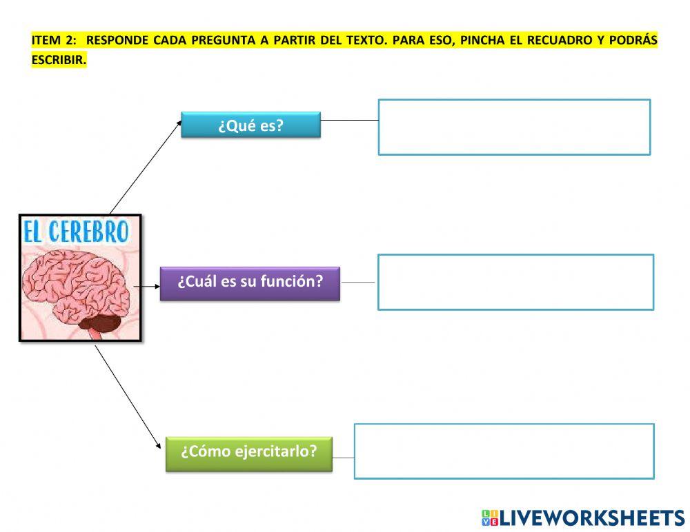Lenguaje,  Matemática y Artes Visuales.