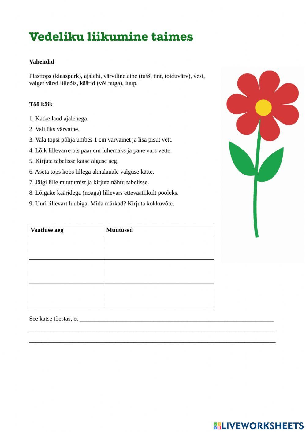 Vedeliku liikumine taimes