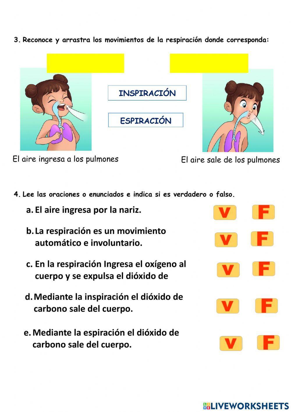 Sfs - LA RESPIRACIÓN