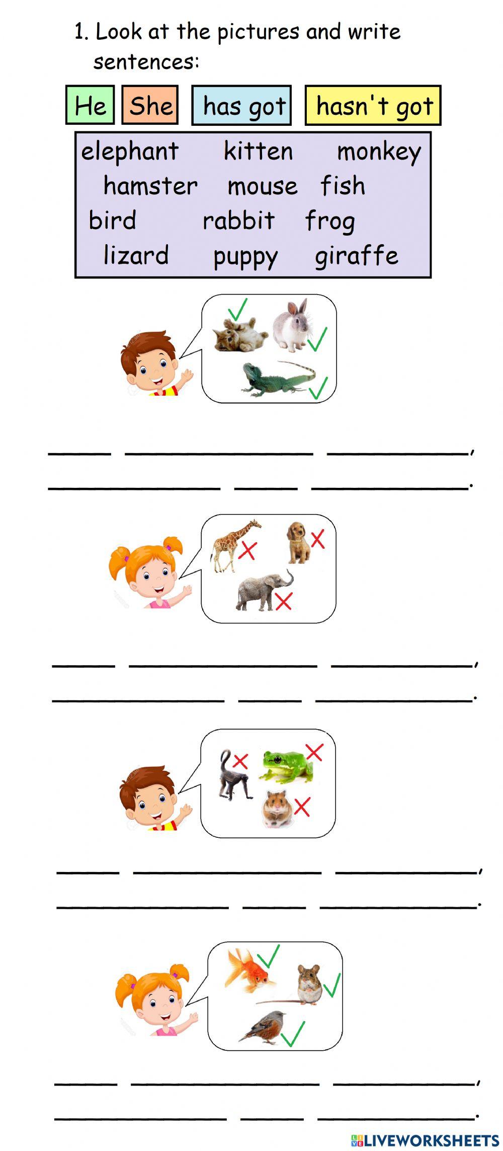 Tiger 2 - Unit 5 - Animals (grammar)