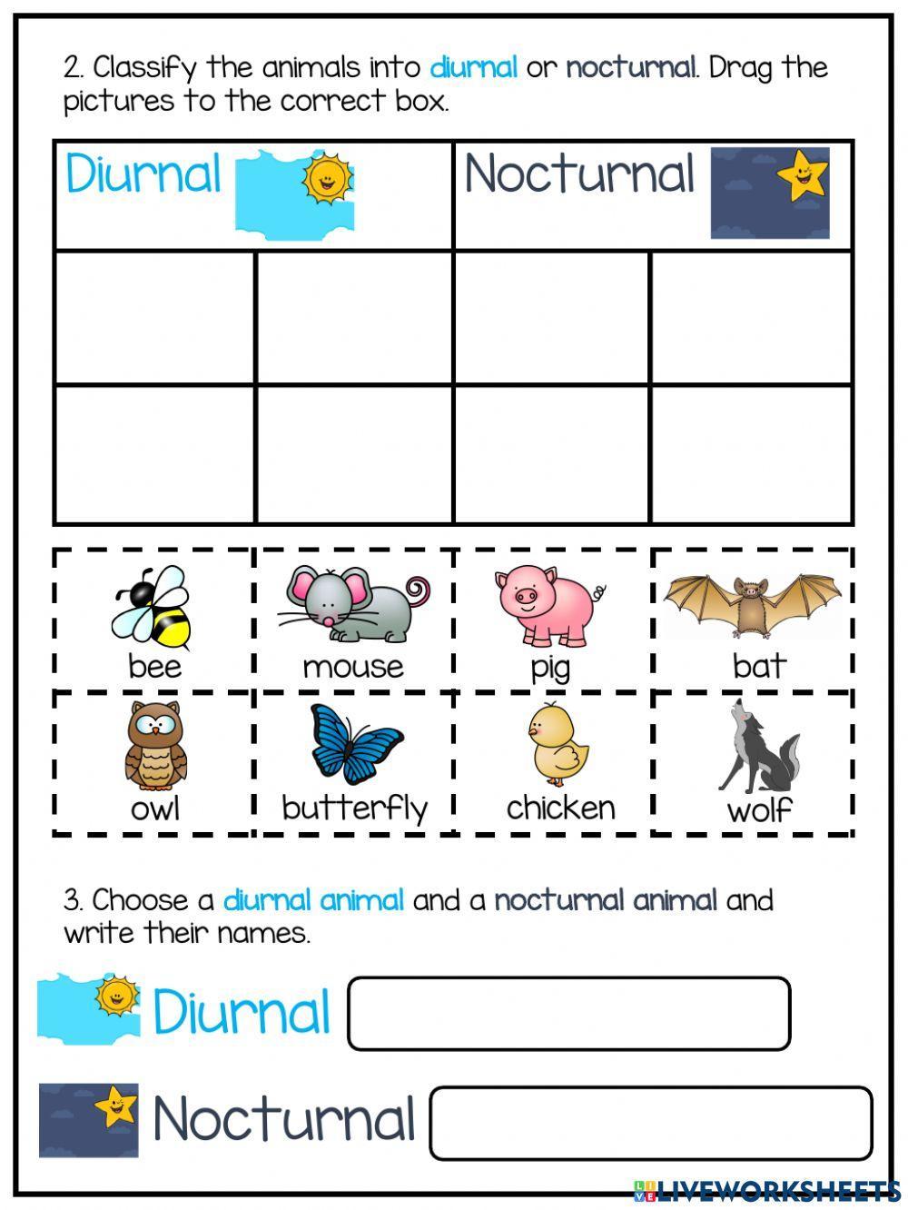 Day and Night: Diurnal and Nocturnal animals