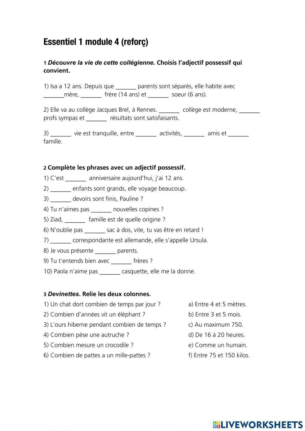 Revision possessifs combien etc