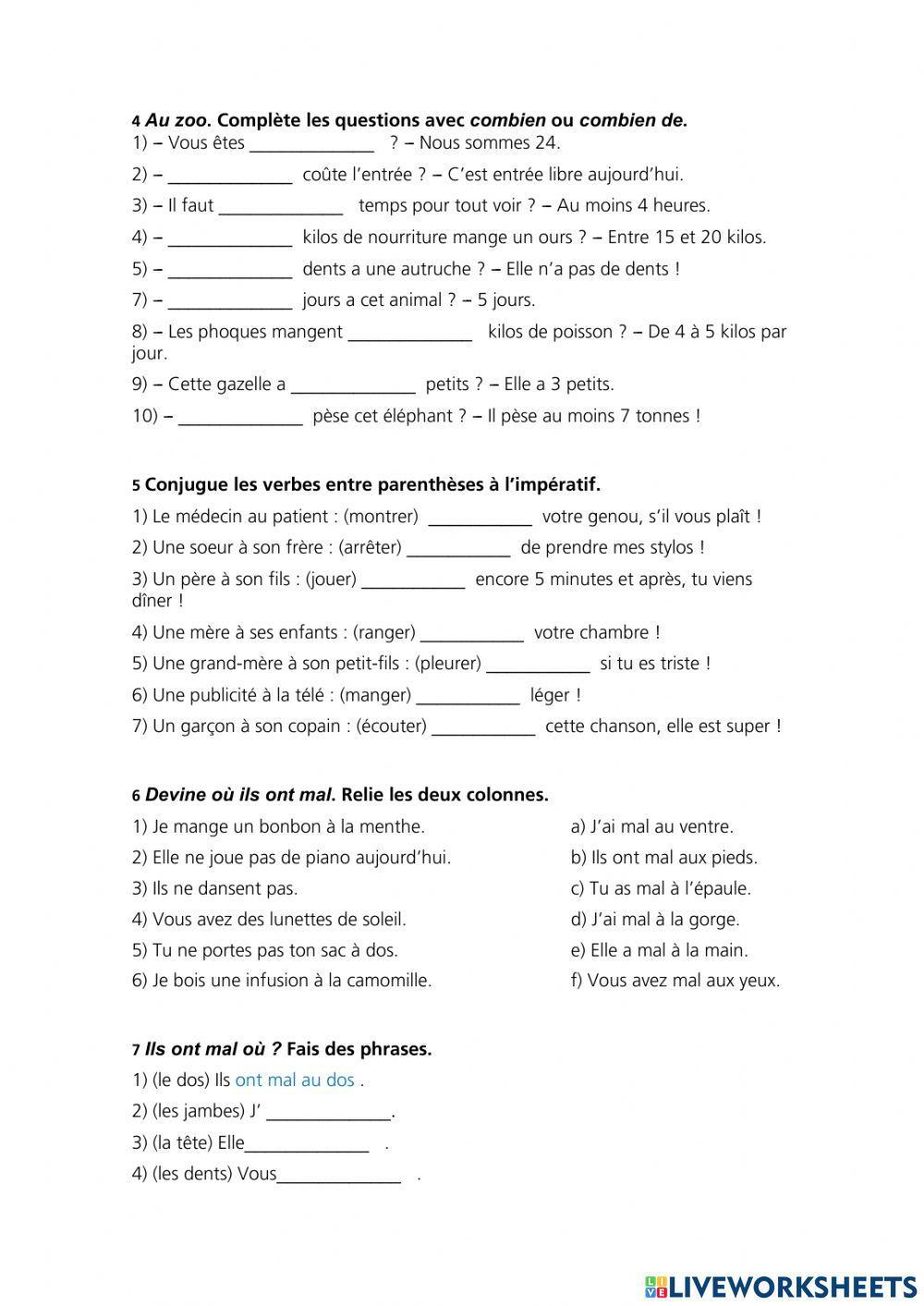 Revision possessifs combien etc