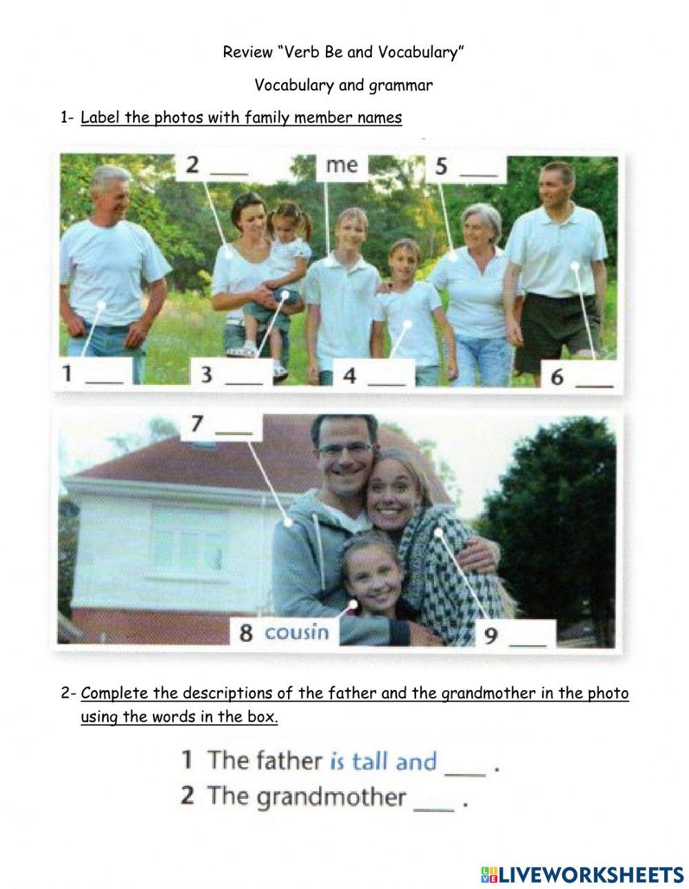 Review vocabulary and grammar