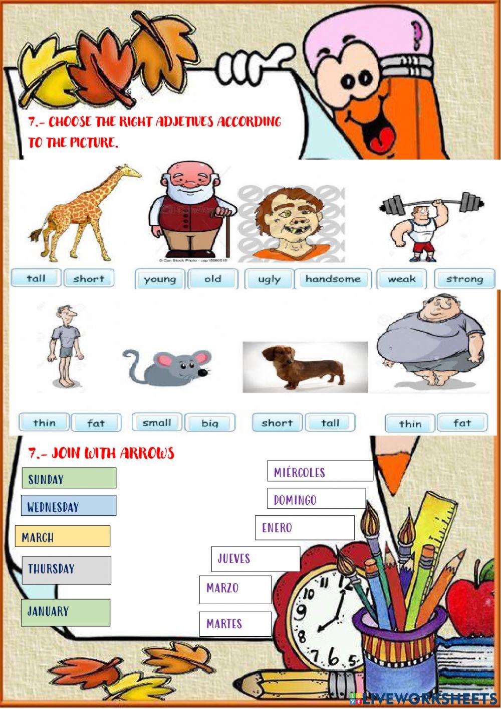 DIAGNOSTIC TESTING 5TO