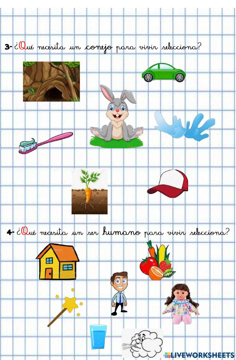 Necesidades e los seres vivos