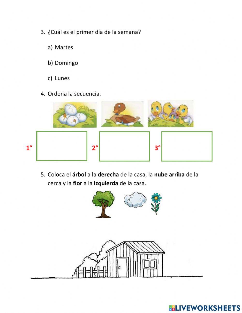 Evaluación diagnostica matemáticas