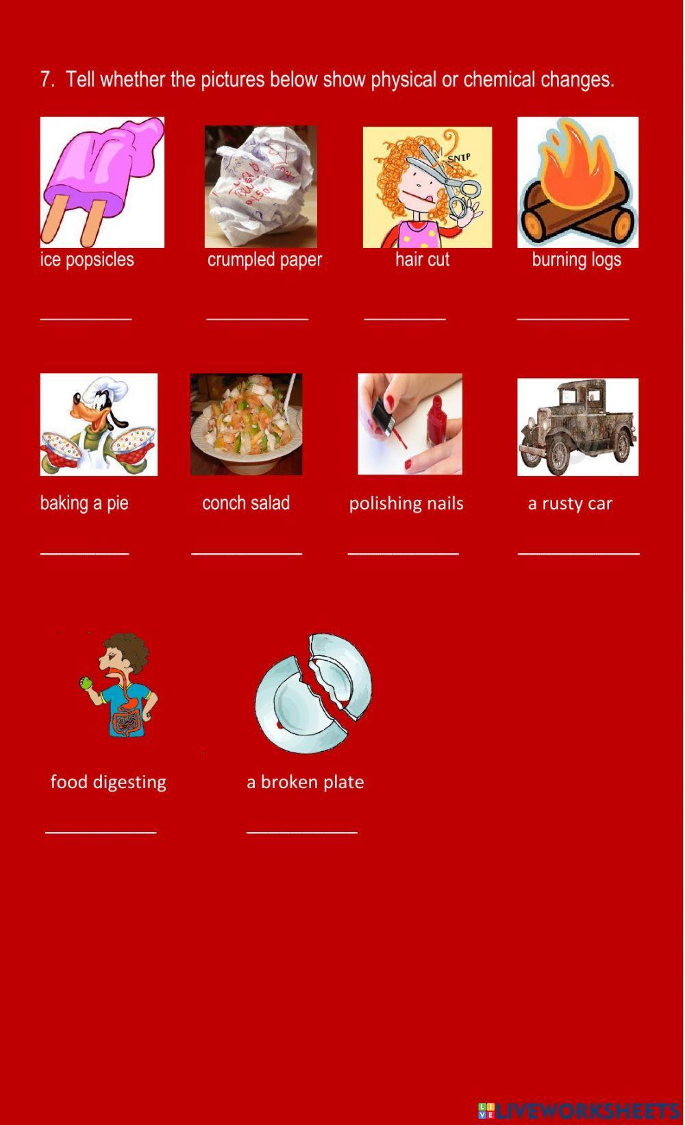 Physical and Chemical Properties and Changes