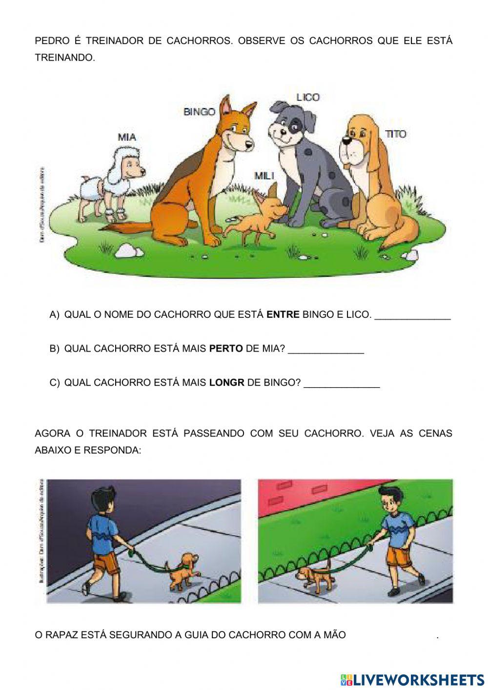 Lingua portuguesa e matemática