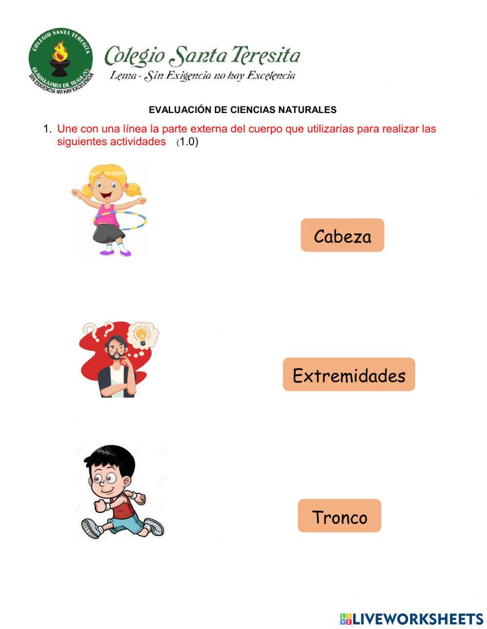 Evaluación ciencias