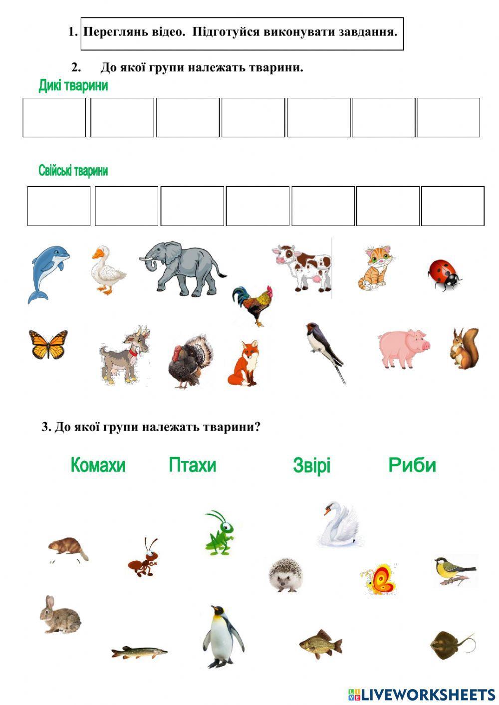 Які бувають тварини?