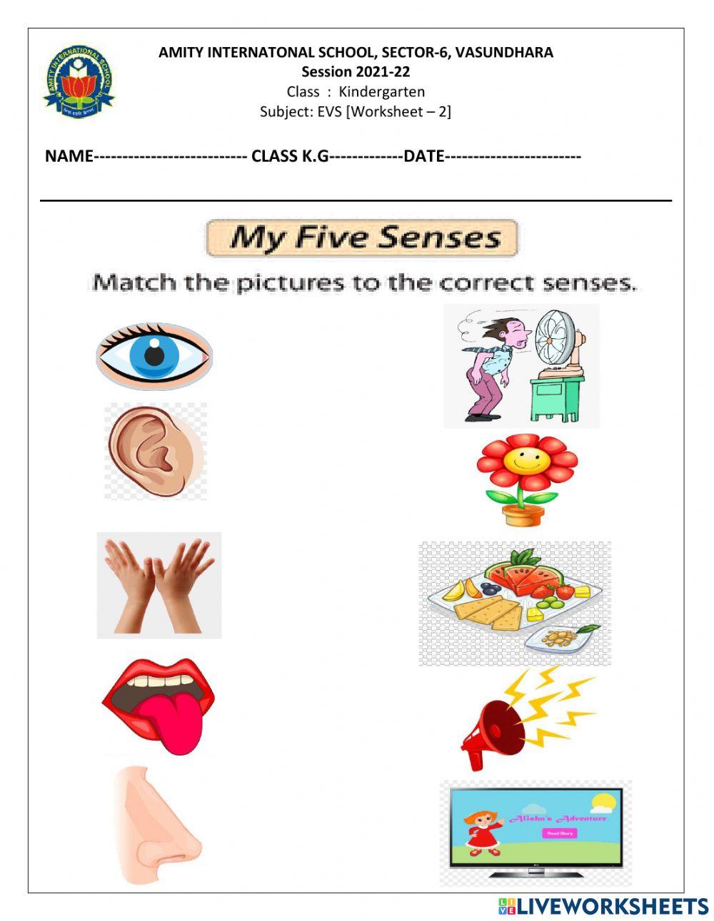 My Five Senses