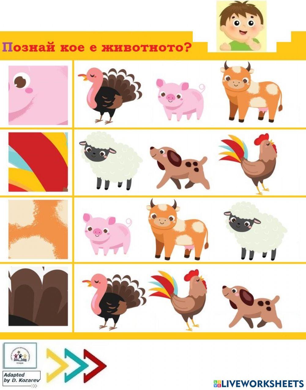 Познай кое е животното?