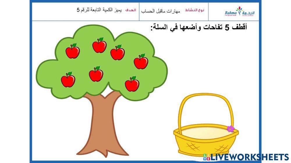 مهارات ماقبل الحساب1