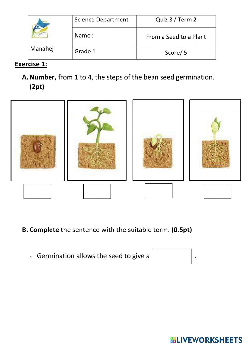 Seeds Germination