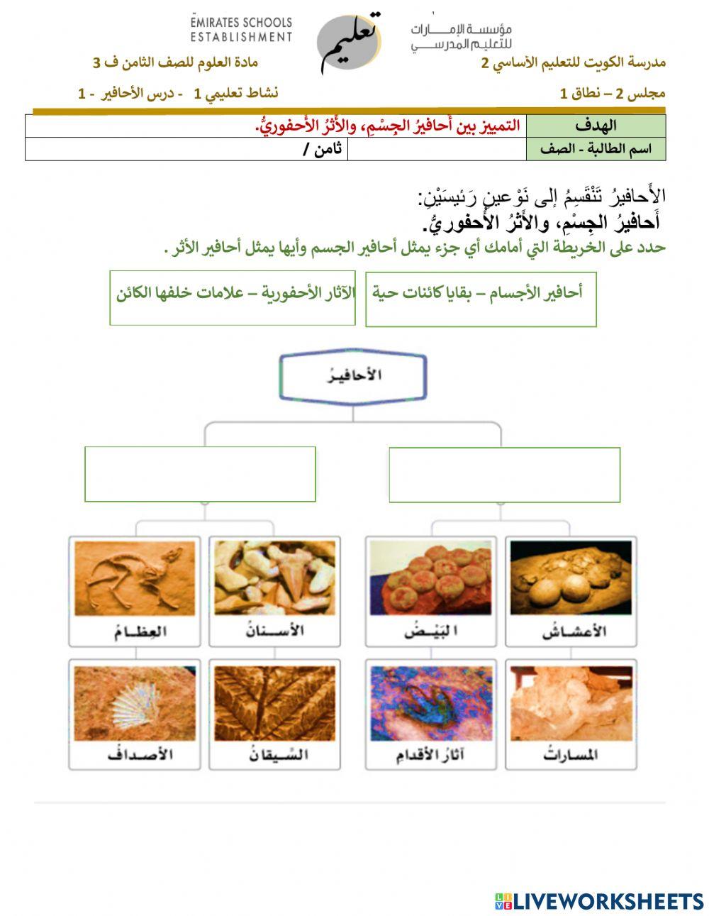 ورقة عمل رقم 1 الاحافير - الخريطة الذهنية