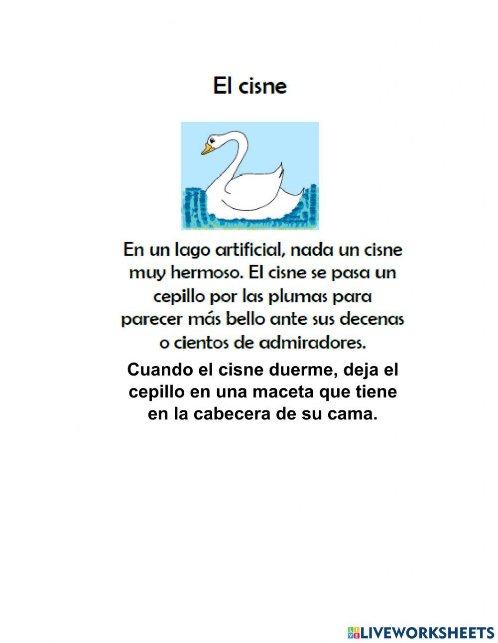 El cisne