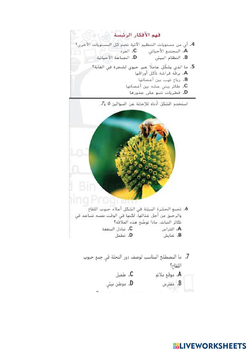 العلاقات بين الكائنات الحية