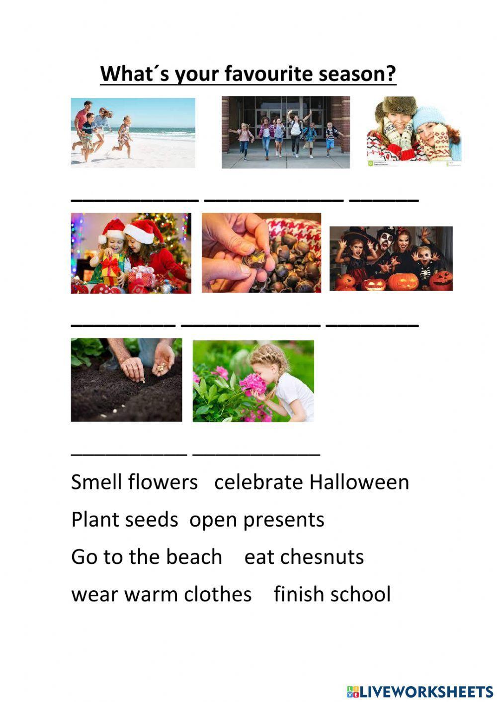 Seaonsal activity vocabulary