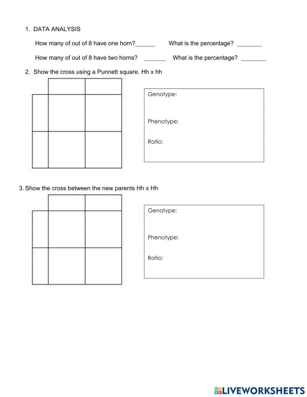 Heredity and Punnett