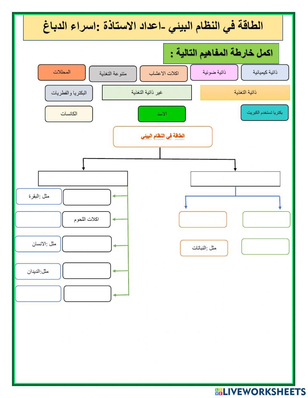 ورقة عمل النظام البيئي