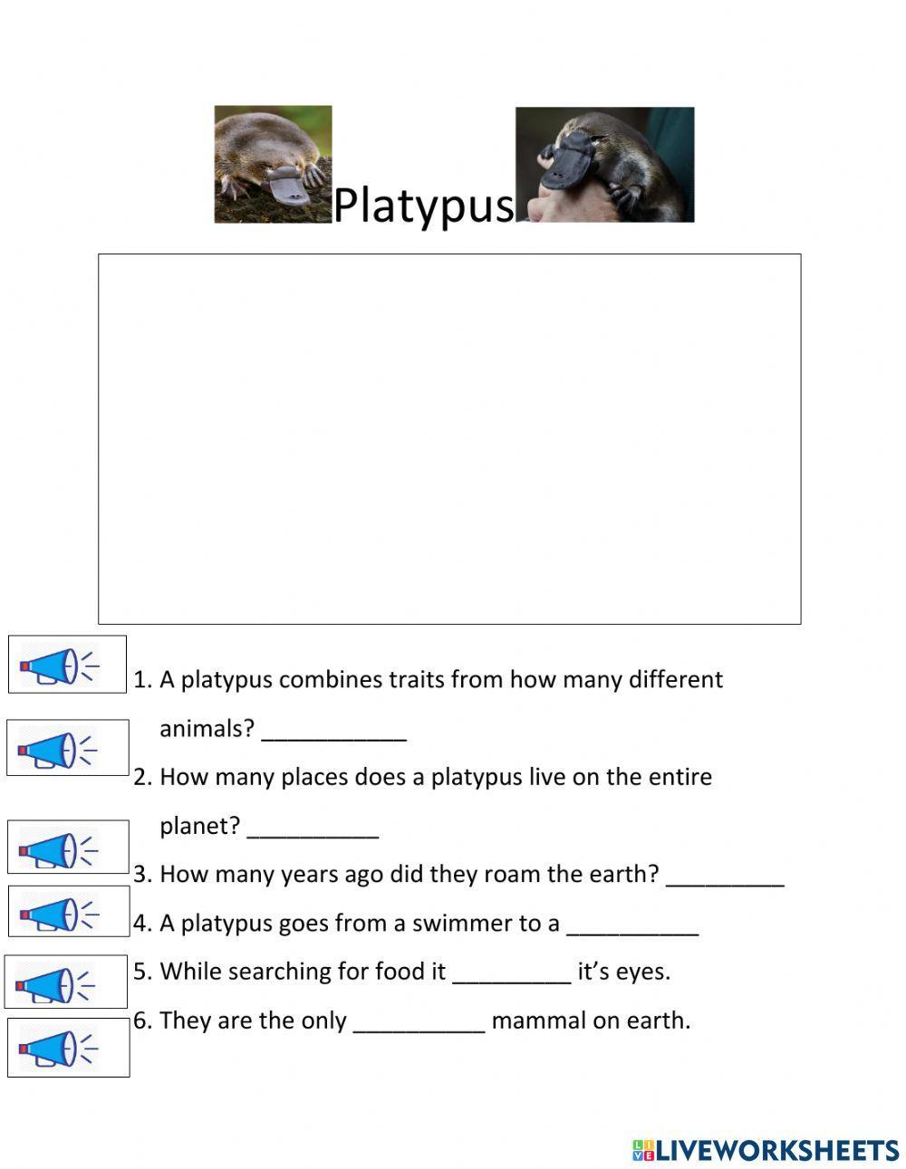 Platypus Platypus
