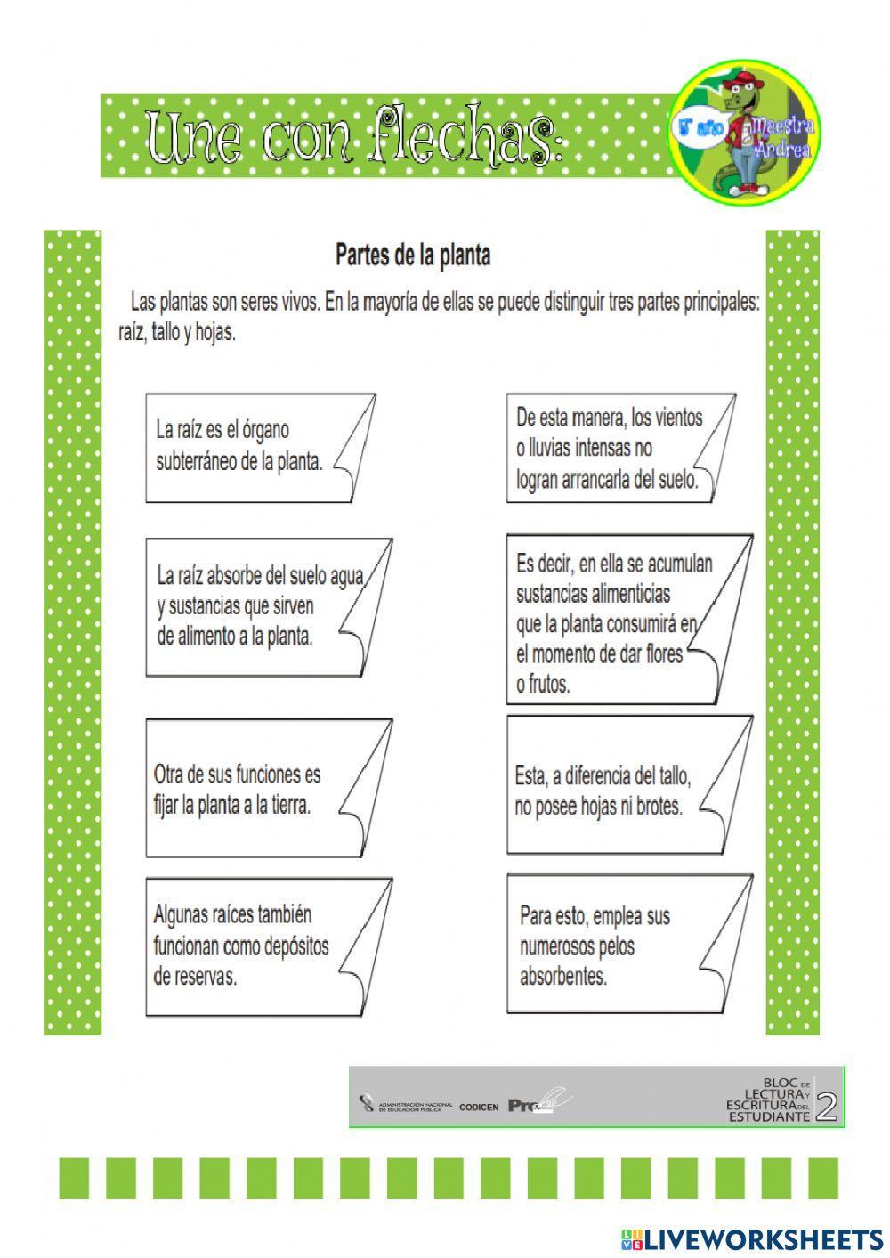 Características de los seres vivos