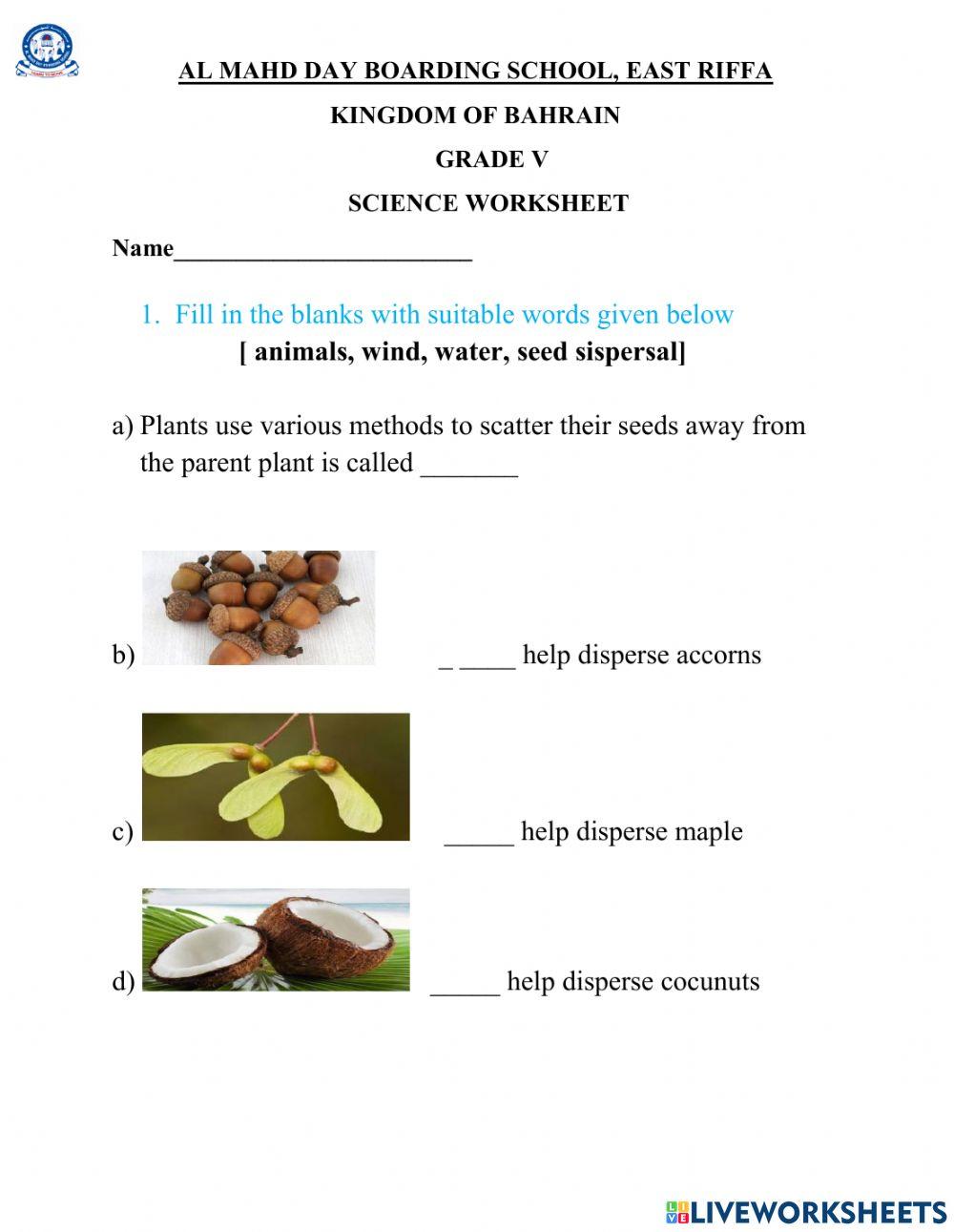 Seed Dispersal Worksheet