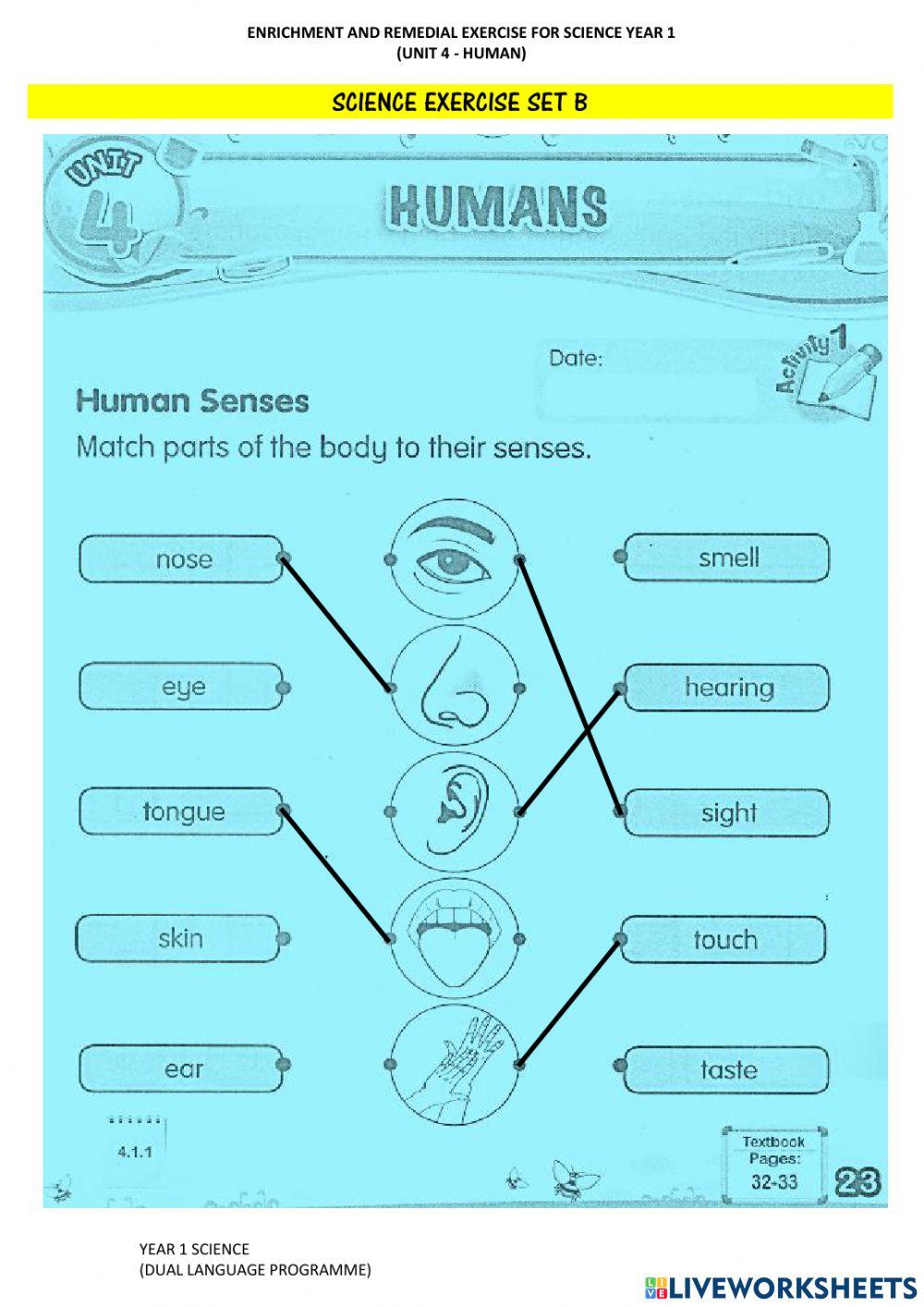Human's Five Senses (Diagnostic Set)