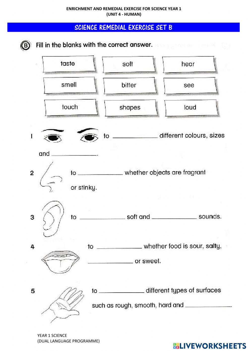 Human's Five Senses (Remedial Set)