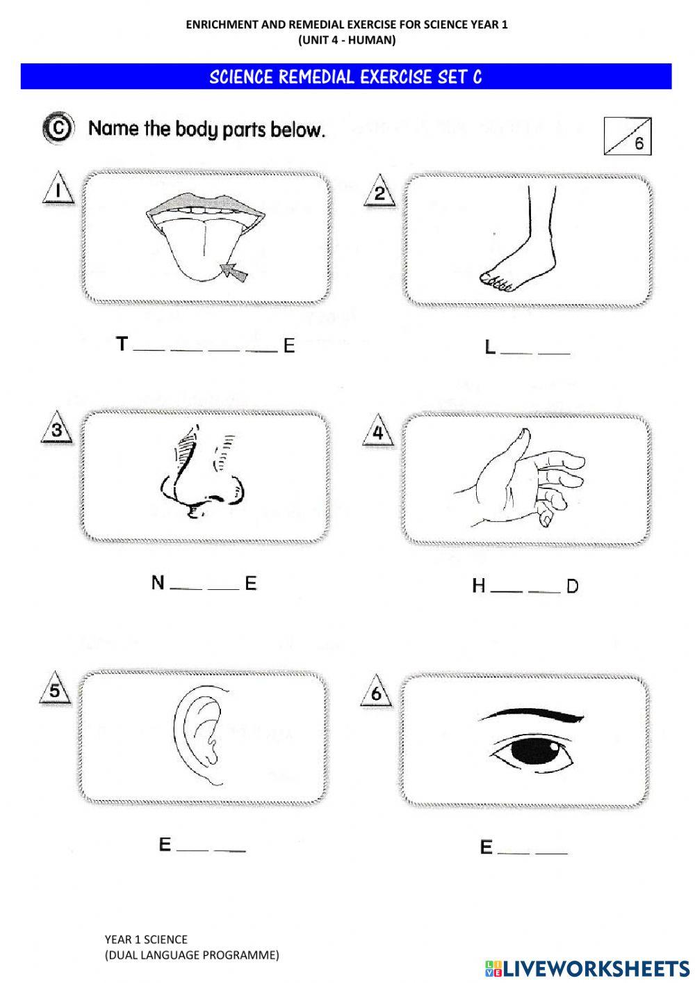 Human's Five Senses (Remedial Set)