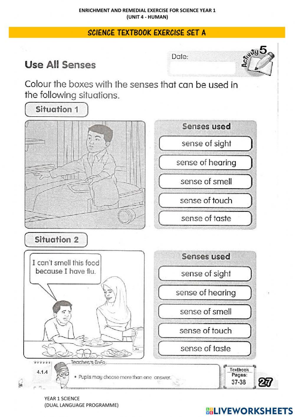 Human's Five Senses (School's Activity Book)