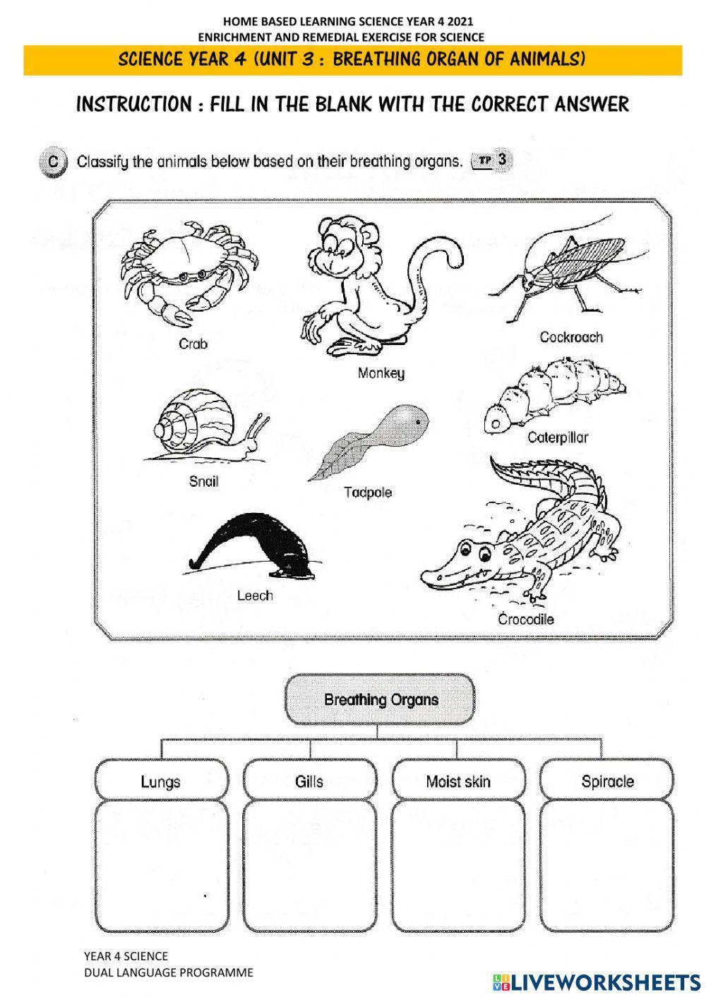 Breathing Organs Of Animals (Set 2) worksheet Live Worksheets