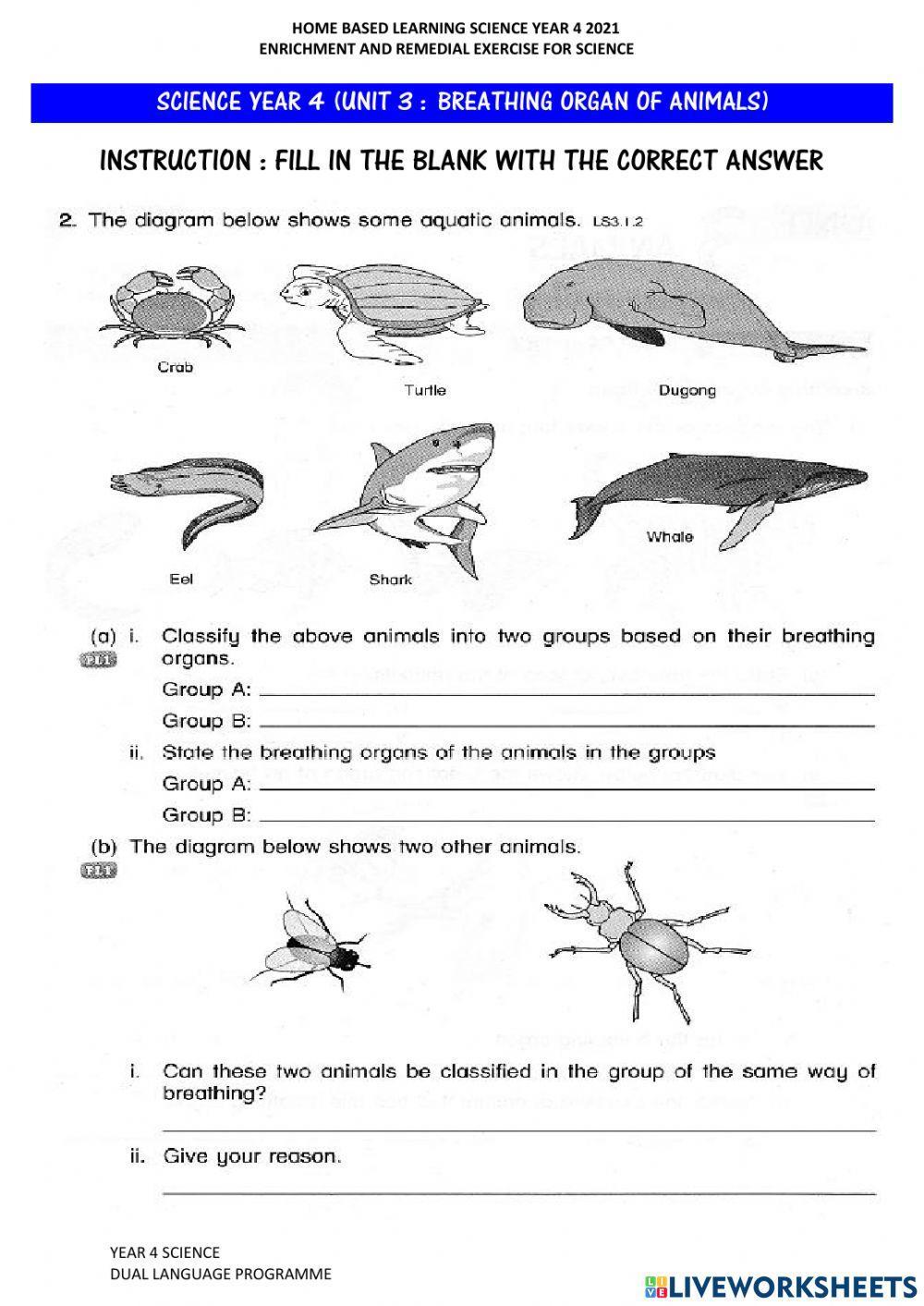 Breathing Organs Of Animals (Set 3)