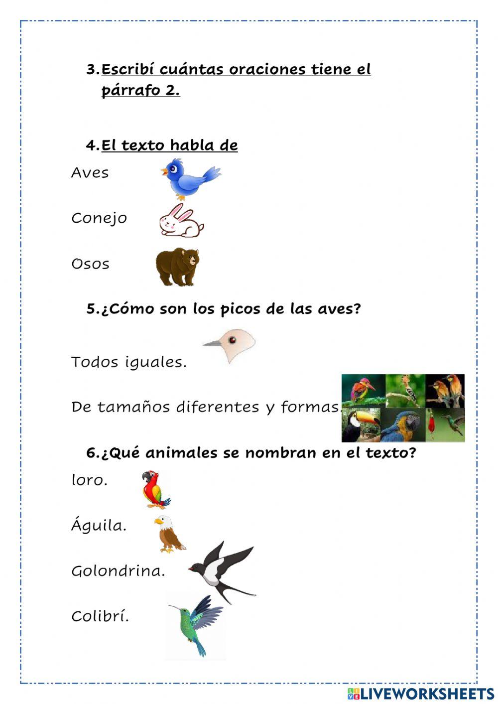 Párrafo y comprensión lectora