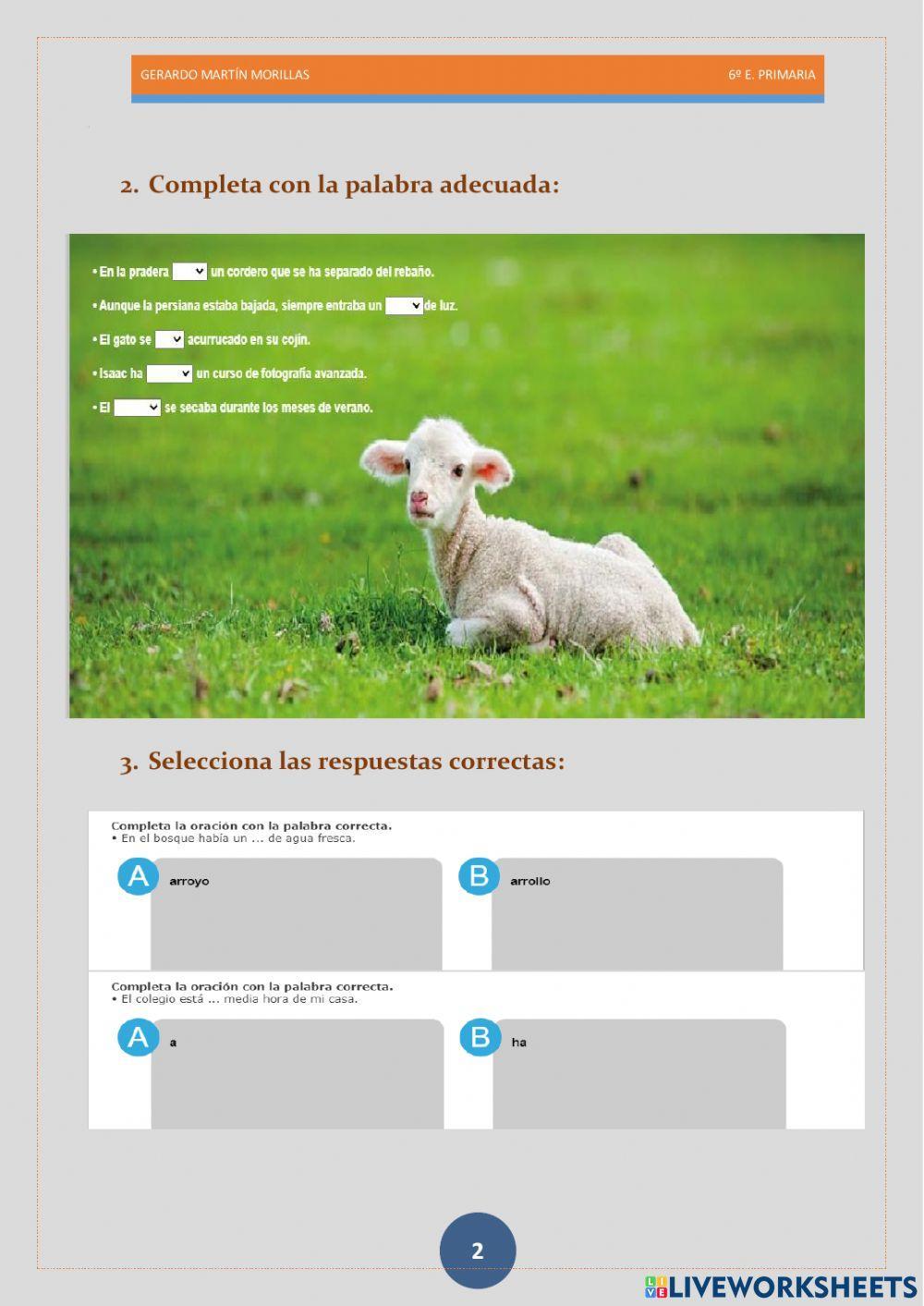 Taller de ortografía. Ficha 14.