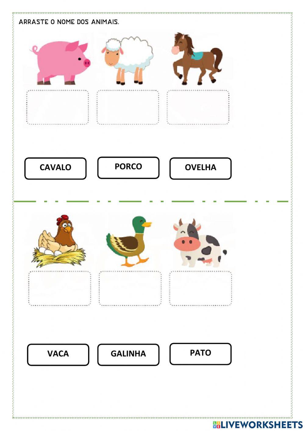 Arraste o nome das figuras.